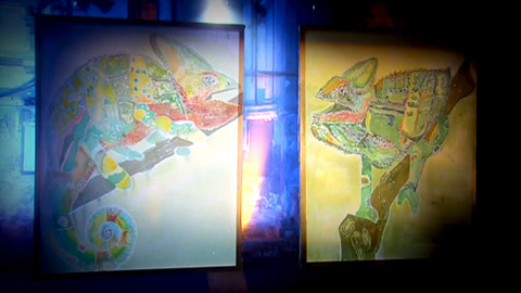 Divoké umění - 20/26 Chameleon