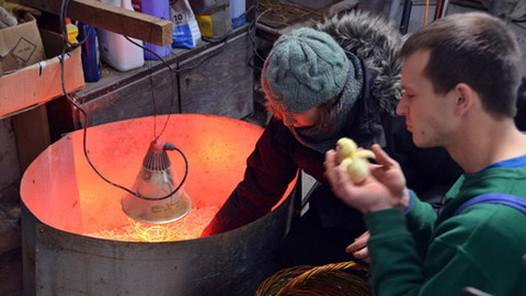 Malá farma - Rybník na papíře