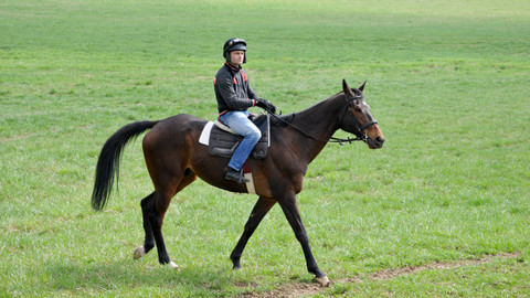 13. komnata - 13. komnata Marka Stromského