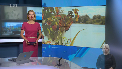 Události v regionech (Ostrava) - 23. července