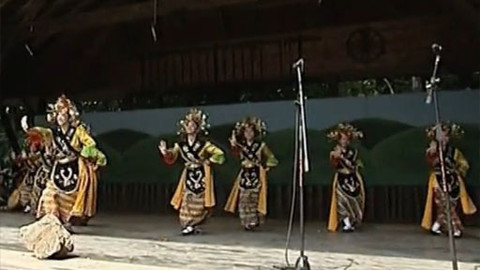 Wiadomości w języku polskim - 20. července 2012