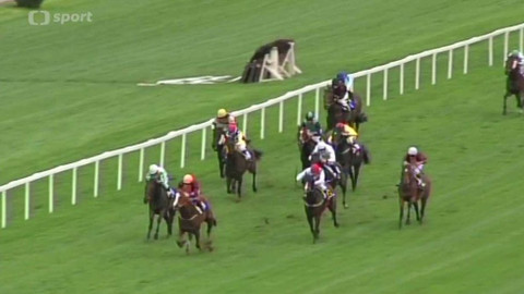 Turf - 21. září 2016