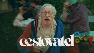 Cestovatel