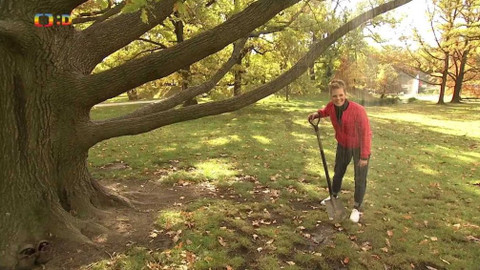 Zprávičky - 20. října 2019