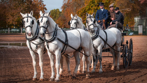 Českem na koňském hřbetu - 1/14 Ukaž, že na to máš!