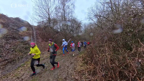 Sport v regionech - Ludgeřovická 15