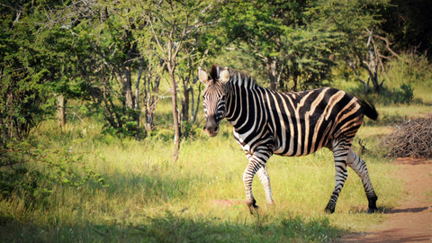 Na cestě - Na cestě po jihoafrickém Gautengu