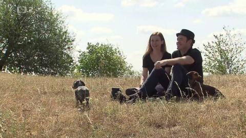 Babylon - 15. prosince 2018