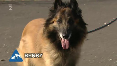 Chcete mě? - Chcete je?