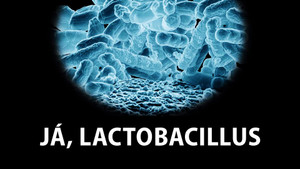 Obrázek pořadu Já, Lactobacillus