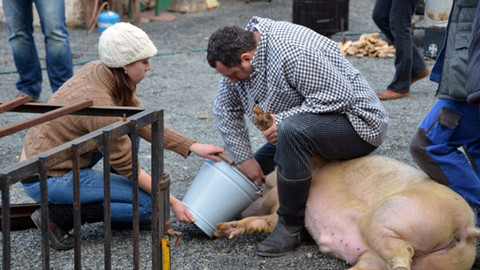 Malá farma - Jelítka a jitrničky