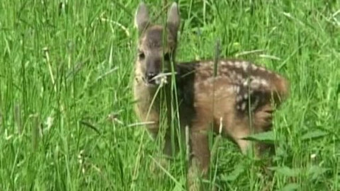 Tisíc let české myslivosti - 11. března 2011