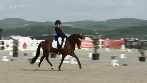 Jezdectví - M ČR pony Zduchovice