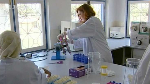 Popularis - 19. února 2004