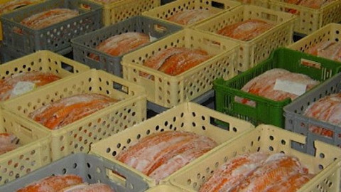 Reportéři ČT - 8. prosince 2008