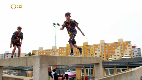 Lvíčata - 2. listopadu 2024