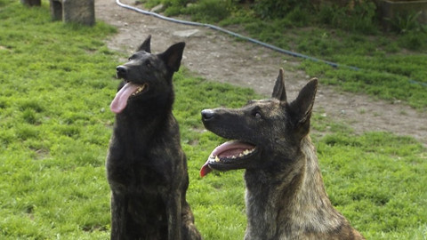 Chcete mě? - 19. listopadu 2017