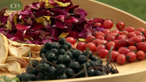 Polopatě - 3. října 2021