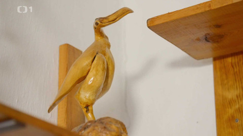 Co naše babičky uměly a na co my jsme zapomněli - Samorost a knedlík