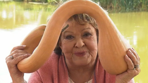 Hobby naší doby - 21. listopadu 2020