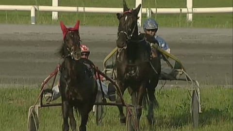 Jezdectví - Zlatý okruh