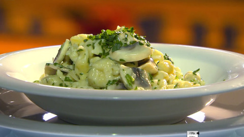 Vše o vaření - 9. září 2014