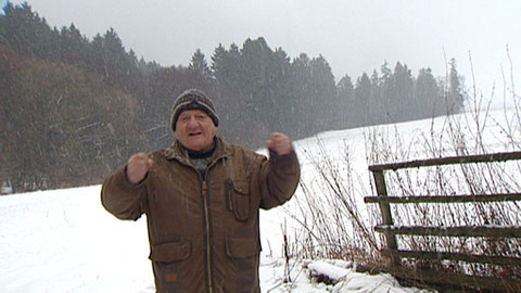 Chcete mě? - 17. února 2013