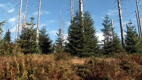 Nedej se! - Národní park Bavorský les