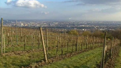 Postřehy odjinud - Rakousko očima Marie Woodhamsové
