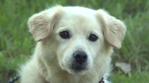 Chcete mě? - Chcete je?