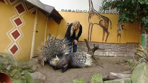 Chcete mě? - 6. prosince 2020