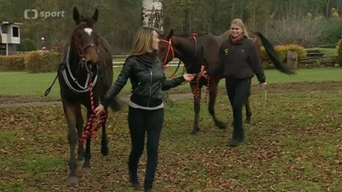 Turf - 13. listopadu 2013