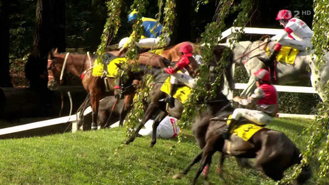 Velká pardubická - IV. kvalifikace na 135. Velkou pardubickou se Slavia pojišťovnou