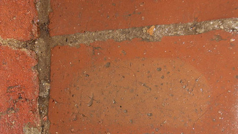 Podivuhodný svět - Cihlářská víra