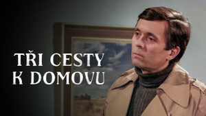 Obrázek pořadu Tři cesty k domovu