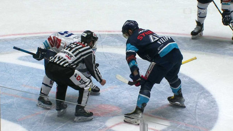 Buly hokej - HC Škoda Plzeň - Bílí Tygři Liberec