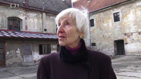 Týden v regionech (Brno) - 17. srpna 2019