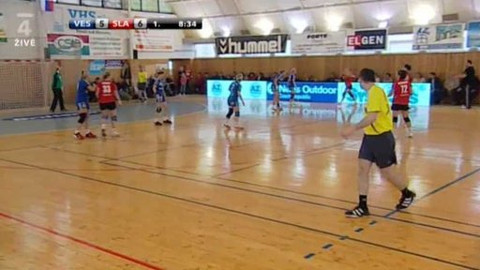 Házená - HC Britterm Veselí nad Moravou - DHC Slavia Praha