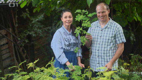 Herbář - 16. listopadu