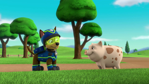 Tlapková patrola - Tlapky zachraňují Gustavovu kytaru / Tlapky zachraňují joga-kozy