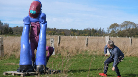 Volavky a predátoři - Podivuhodné květy vizuální kultury na vesnici