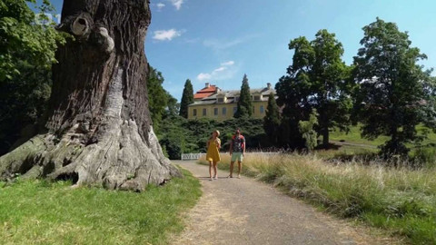 Tamtam - 14/16 Tamtam plus