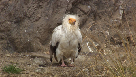 Chcete mě? - 16. února 2020