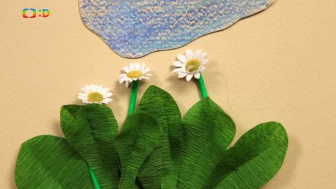 Živý svět: Kvítí - Sedmikráska