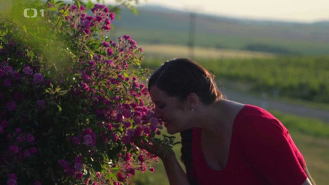 Všechno, co mám ráda - Epizoda 119/45