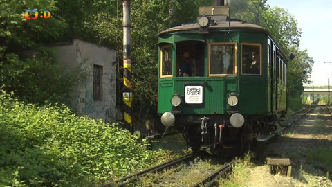 Zprávičky - 8. září 2019