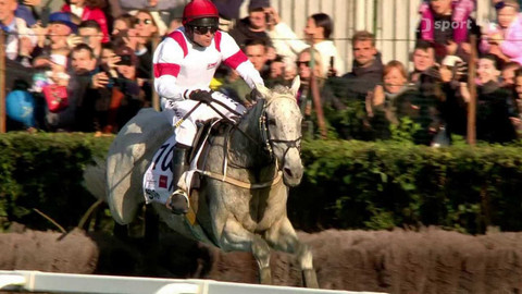 Velká pardubická - Velký pardubický návrat