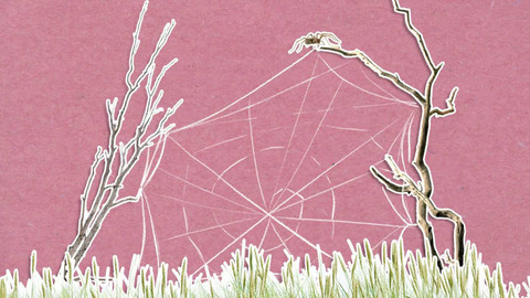 To je něco! - Jak pavouci tkají pavučiny?