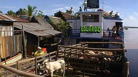 Objektiv - 20. června 2004