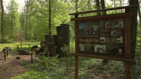 Nedej se! - Mezi dřevem a zemí